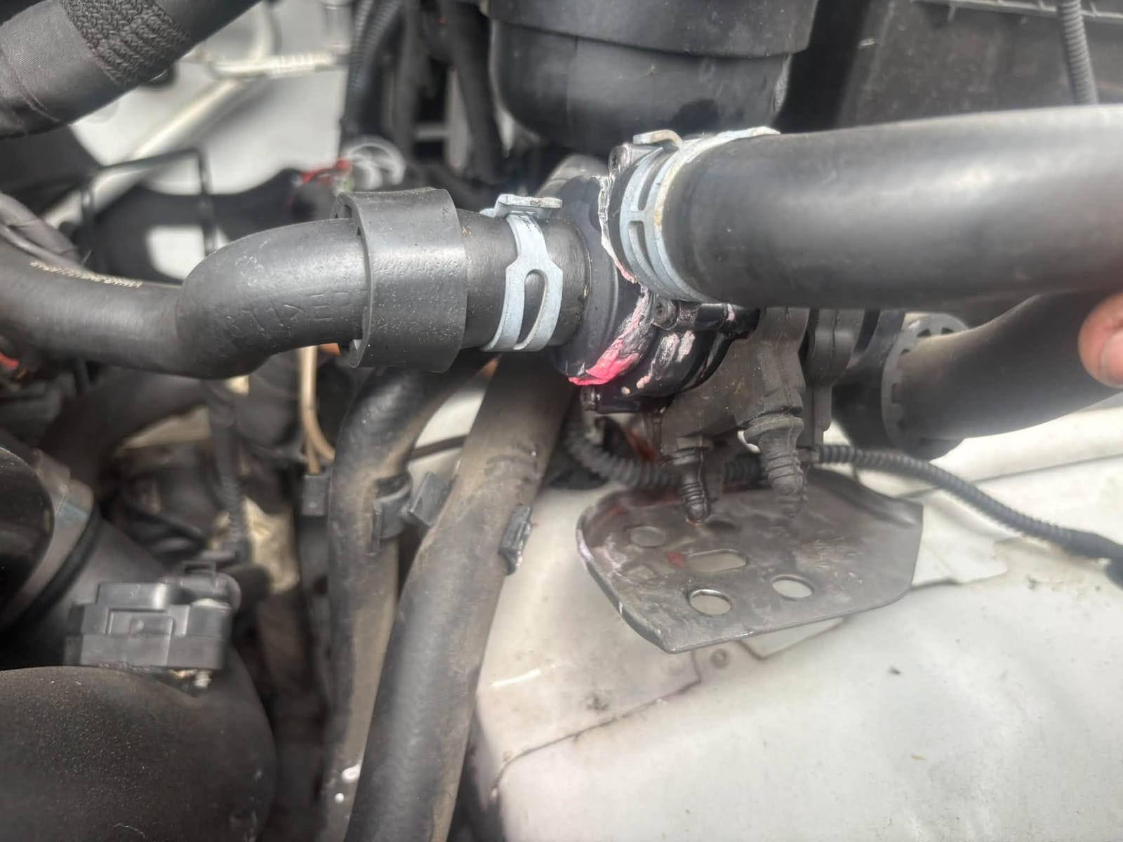 Coolant hoses and fittings on the Amarok engine